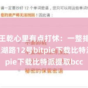 王乾心里有点打怵：一整排楼都是望湖路12号bitpie下载比特派提取bcc