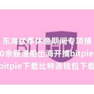 东海伏季休渔期间专项捕捞9600余艘渔船出海开捕bitpie下载比特派钱包下载中文