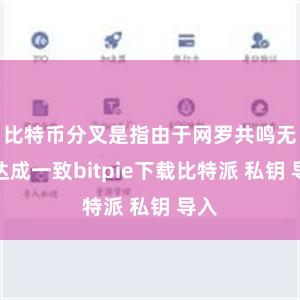 比特币分叉是指由于网罗共鸣无法达成一致bitpie下载比特派 私钥 导入