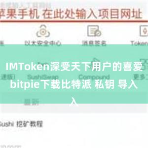 IMToken深受天下用户的喜爱bitpie下载比特派 私钥 导入