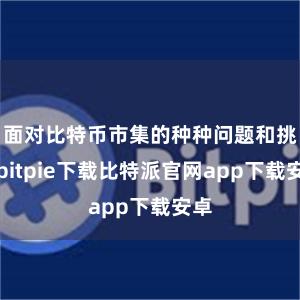 面对比特币市集的种种问题和挑战bitpie下载比特派官网app下载安卓