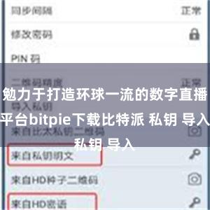勉力于打造环球一流的数字直播平台bitpie下载比特派 私钥 导入